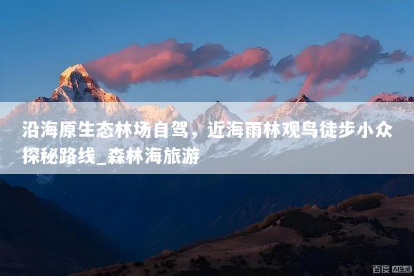 沿海原生态林场自驾，近海雨林观鸟徒步小众探秘路线_森林海旅游