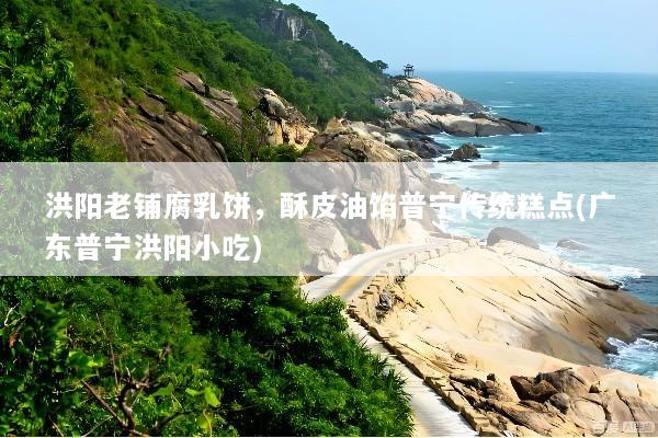 洪阳老铺腐乳饼，酥皮油馅普宁传统糕点(广东普宁洪阳小吃)