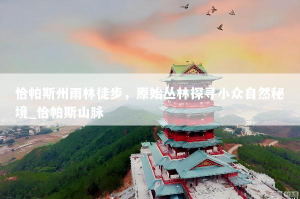 恰帕斯州雨林徒步，原始丛林探寻小众自然秘境_恰帕斯山脉