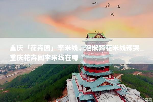 重庆「花卉园」李米线，泡椒蹄花米线辣哭_重庆花卉园李米线在哪