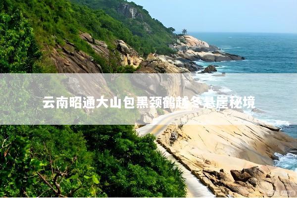 云南昭通大山包黑颈鹤越冬悬崖秘境