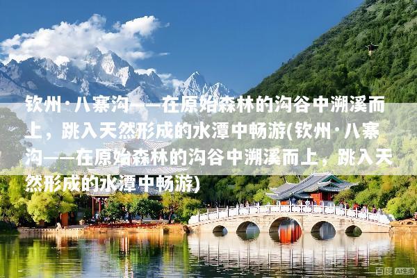 钦州·八寨沟——在原始森林的沟谷中溯溪而上，跳入天然形成的水潭中畅游(钦州·八寨沟——在原始森林的沟谷中溯溪而上，跳入天然形成的水潭中畅游)