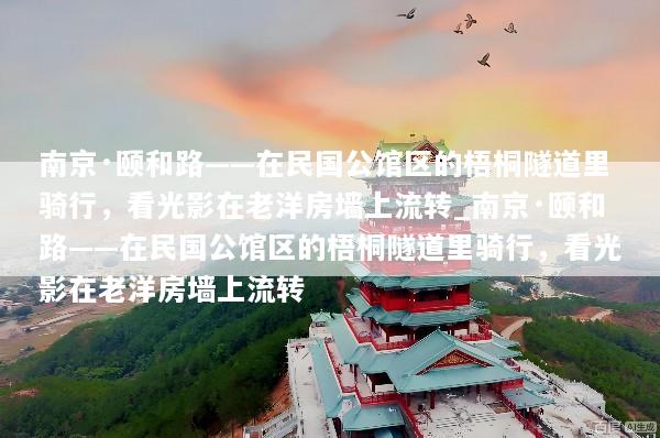 南京·颐和路——在民国公馆区的梧桐隧道里骑行，看光影在老洋房墙上流转_南京·颐和路——在民国公馆区的梧桐隧道里骑行，看光影在老洋房墙上流转