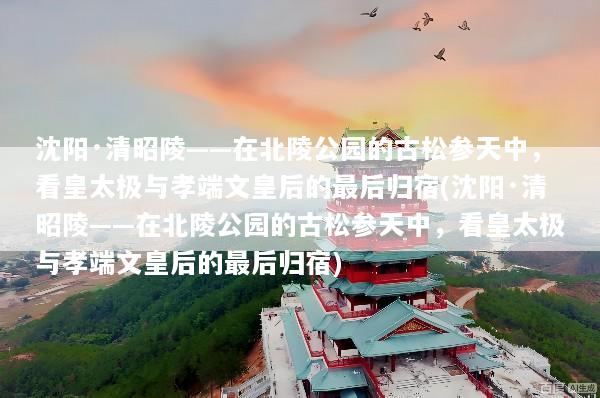 沈阳·清昭陵——在北陵公园的古松参天中，看皇太极与孝端文皇后的最后归宿(沈阳·清昭陵——在北陵公园的古松参天中，看皇太极与孝端文皇后的最后归宿)