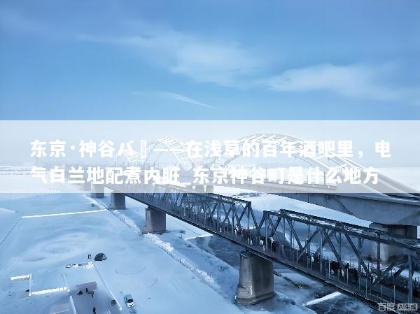 东京·神谷バー——在浅草的百年酒吧里，电气白兰地配煮内脏_东京神谷町是什么地方