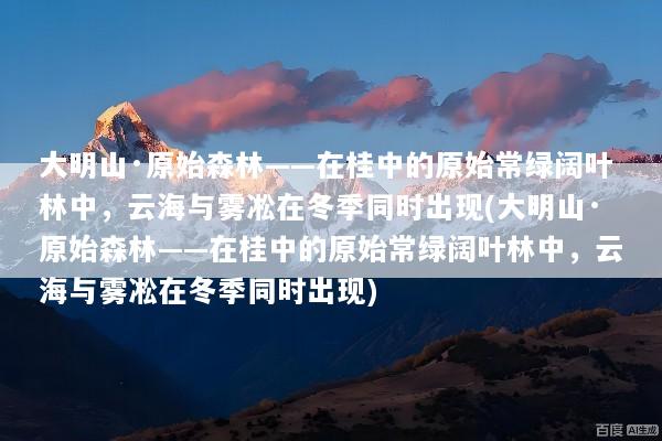 大明山·原始森林——在桂中的原始常绿阔叶林中，云海与雾凇在冬季同时出现(大明山·原始森林——在桂中的原始常绿阔叶林中，云海与雾凇在冬季同时出现)