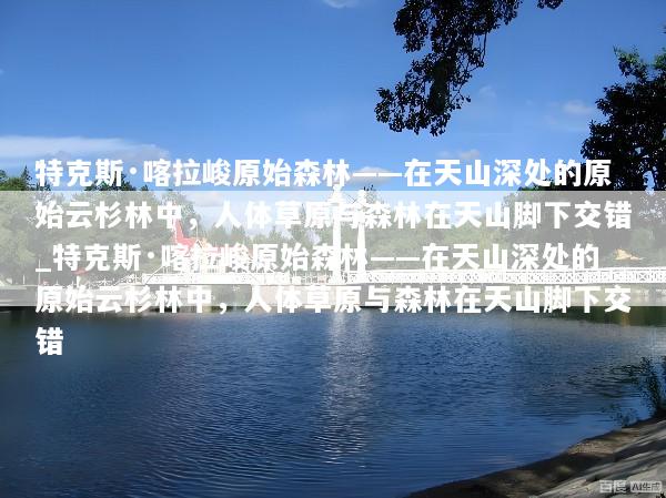特克斯·喀拉峻原始森林——在天山深处的原始云杉林中，人体草原与森林在天山脚下交错_特克斯·喀拉峻原始森林——在天山深处的原始云杉林中，人体草原与森林在天山脚下交错