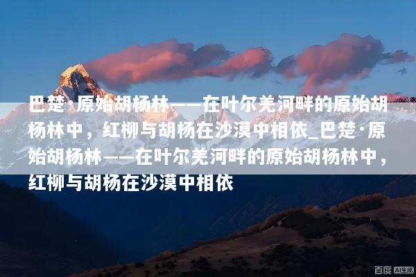 巴楚·原始胡杨林——在叶尔羌河畔的原始胡杨林中，红柳与胡杨在沙漠中相依_巴楚·原始胡杨林——在叶尔羌河畔的原始胡杨林中，红柳与胡杨在沙漠中相依
