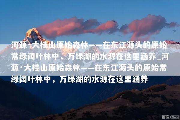 河源·大桂山原始森林——在东江源头的原始常绿阔叶林中，万绿湖的水源在这里涵养_河源·大桂山原始森林——在东江源头的原始常绿阔叶林中，万绿湖的水源在这里涵养