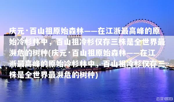庆元·百山祖原始森林——在江浙最高峰的原始冷杉林中，百山祖冷杉仅存三株是全世界最濒危的树种(庆元·百山祖原始森林——在江浙最高峰的原始冷杉林中，百山祖冷杉仅存三株是全世界最濒危的树种)