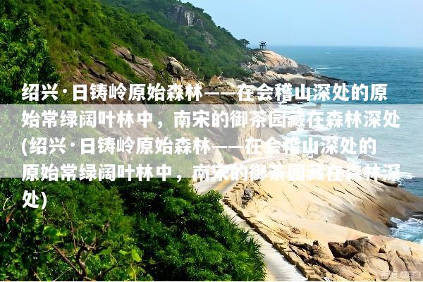 绍兴·日铸岭原始森林——在会稽山深处的原始常绿阔叶林中，南宋的御茶园藏在森林深处(绍兴·日铸岭原始森林——在会稽山深处的原始常绿阔叶林中，南宋的御茶园藏在森林深处)