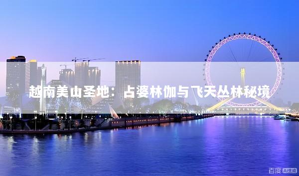 越南美山圣地：占婆林伽与飞天丛林秘境