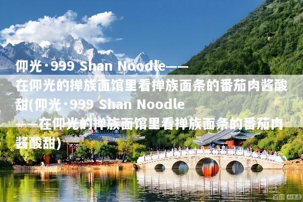 仰光·999 Shan Noodle——在仰光的掸族面馆里看掸族面条的番茄肉酱酸甜(仰光·999 Shan Noodle——在仰光的掸族面馆里看掸族面条的番茄肉酱酸甜)