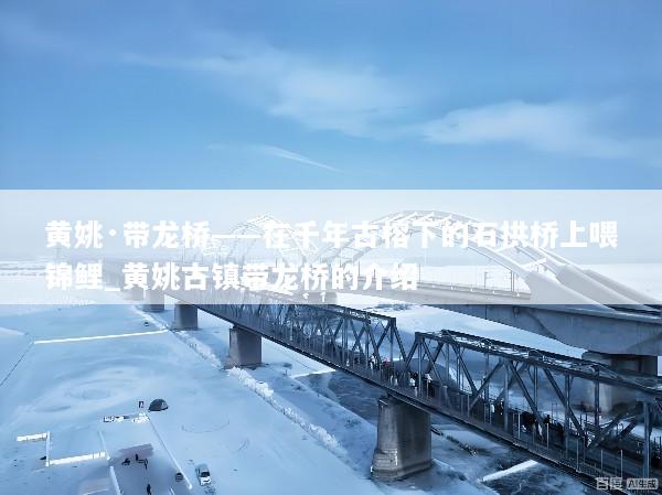 黄姚·带龙桥——在千年古榕下的石拱桥上喂锦鲤_黄姚古镇带龙桥的介绍