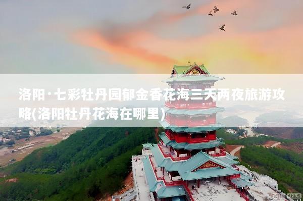 洛阳·七彩牡丹园郁金香花海三天两夜旅游攻略(洛阳牡丹花海在哪里)
