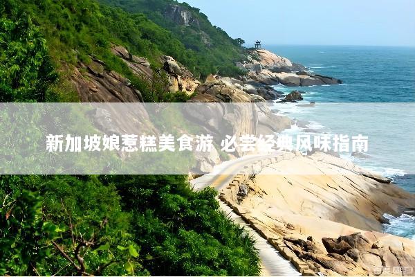 新加坡娘惹糕美食游 必尝经典风味指南