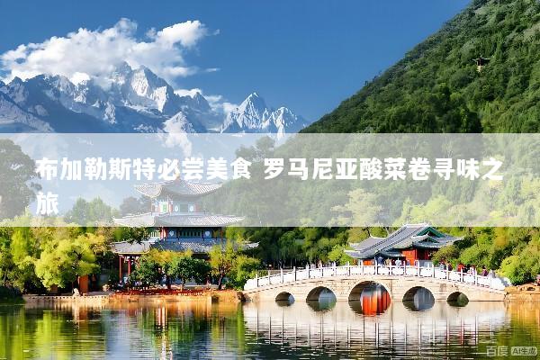布加勒斯特必尝美食 罗马尼亚酸菜卷寻味之旅