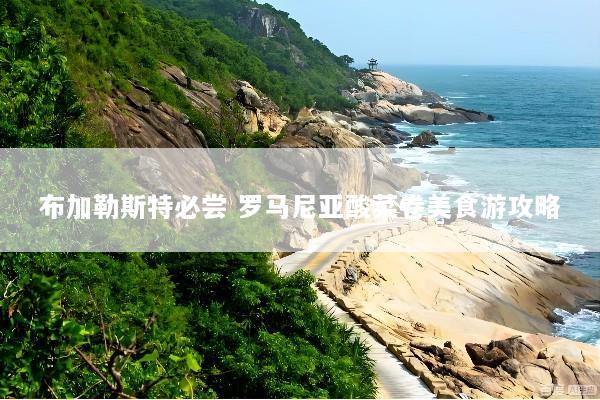 布加勒斯特必尝 罗马尼亚酸菜卷美食游攻略