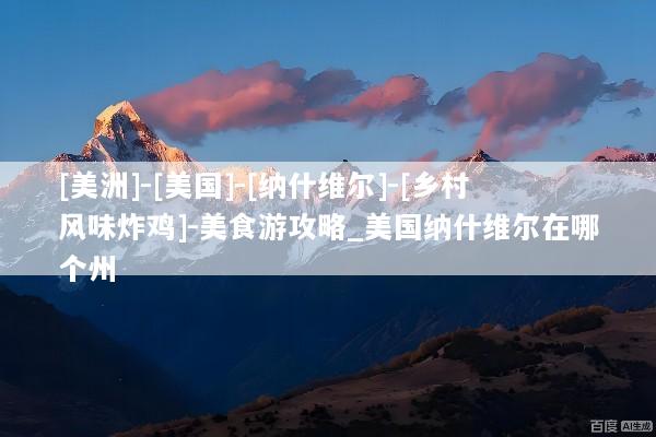 [美洲]-[美国]-[纳什维尔]-[乡村风味炸鸡]-美食游攻略_美国纳什维尔在哪个州