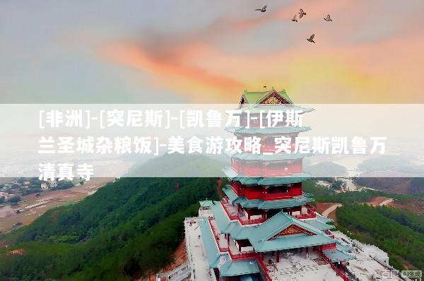 [非洲]-[突尼斯]-[凯鲁万]-[伊斯兰圣城杂粮饭]-美食游攻略_突尼斯凯鲁万清真寺
